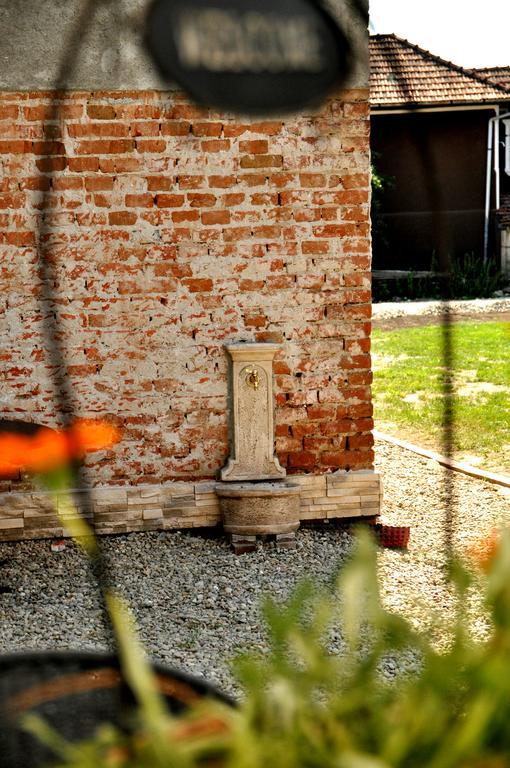 Home Tara Haţeg Dış mekan fotoğraf