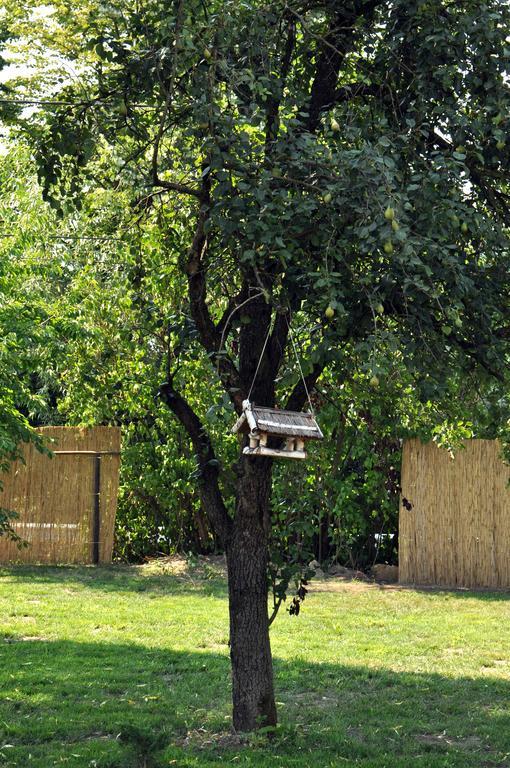 Home Tara Haţeg Dış mekan fotoğraf