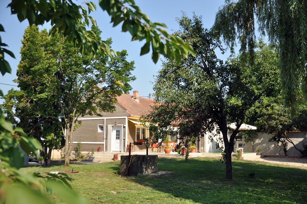 Home Tara Haţeg Dış mekan fotoğraf