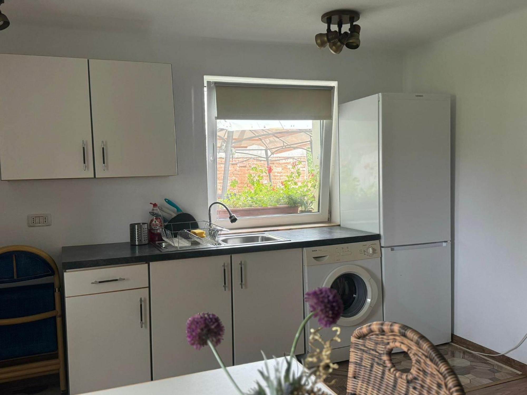 Home Tara Haţeg Dış mekan fotoğraf