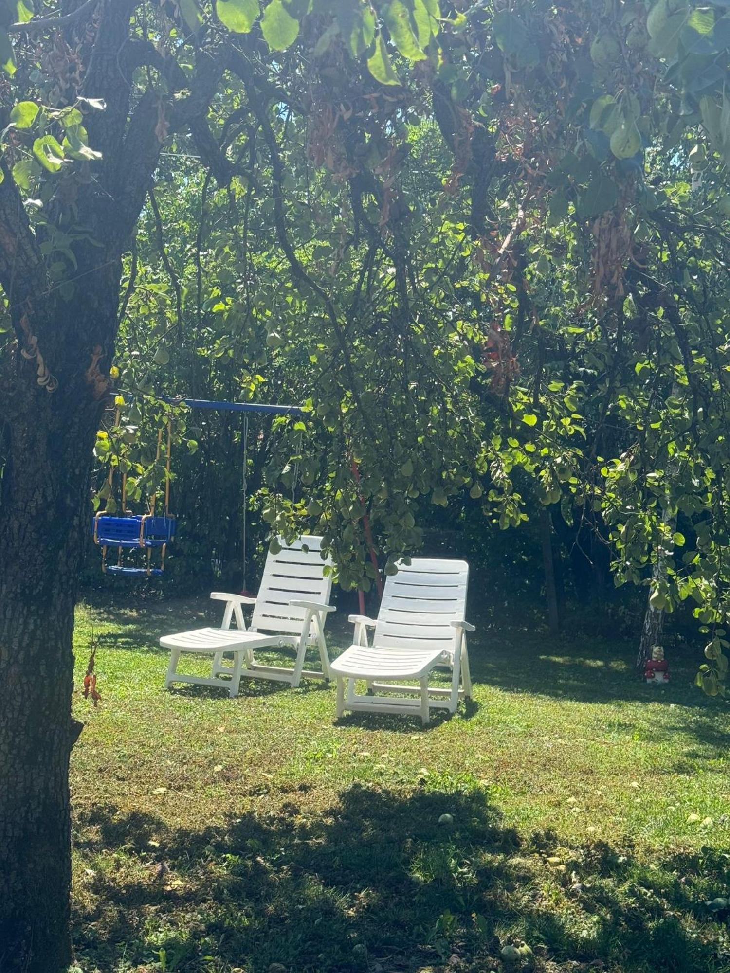Home Tara Haţeg Dış mekan fotoğraf