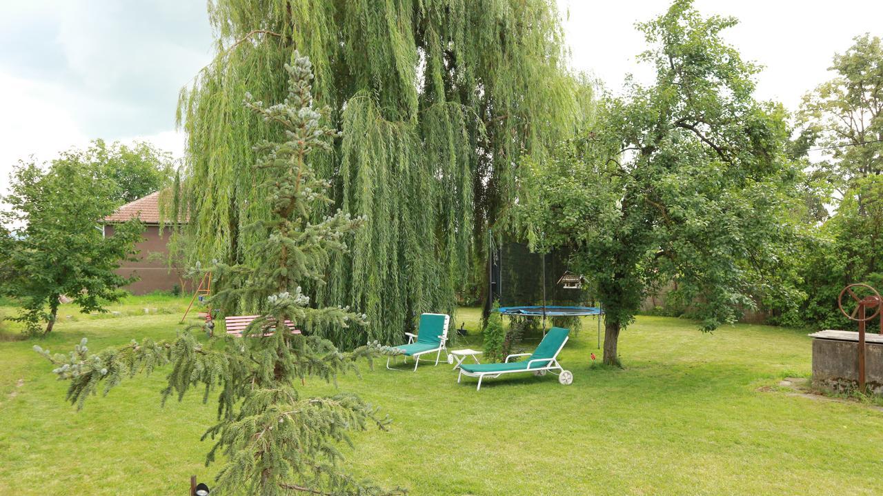 Home Tara Haţeg Dış mekan fotoğraf