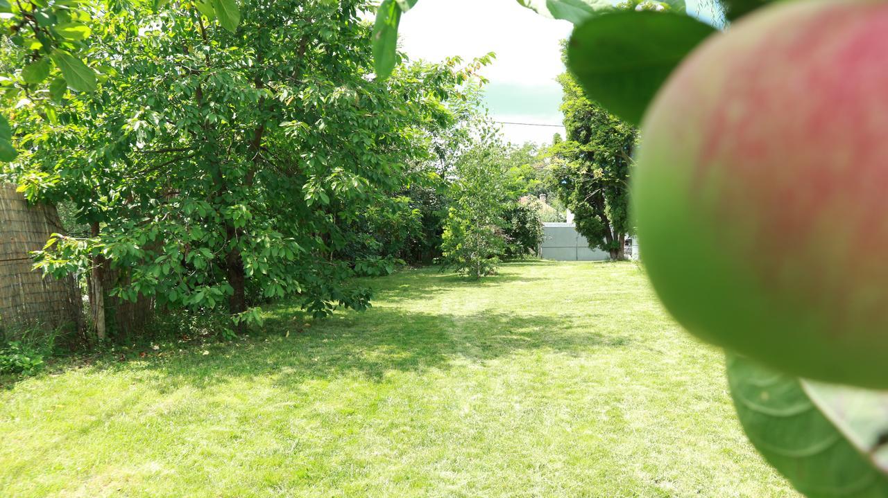 Home Tara Haţeg Dış mekan fotoğraf