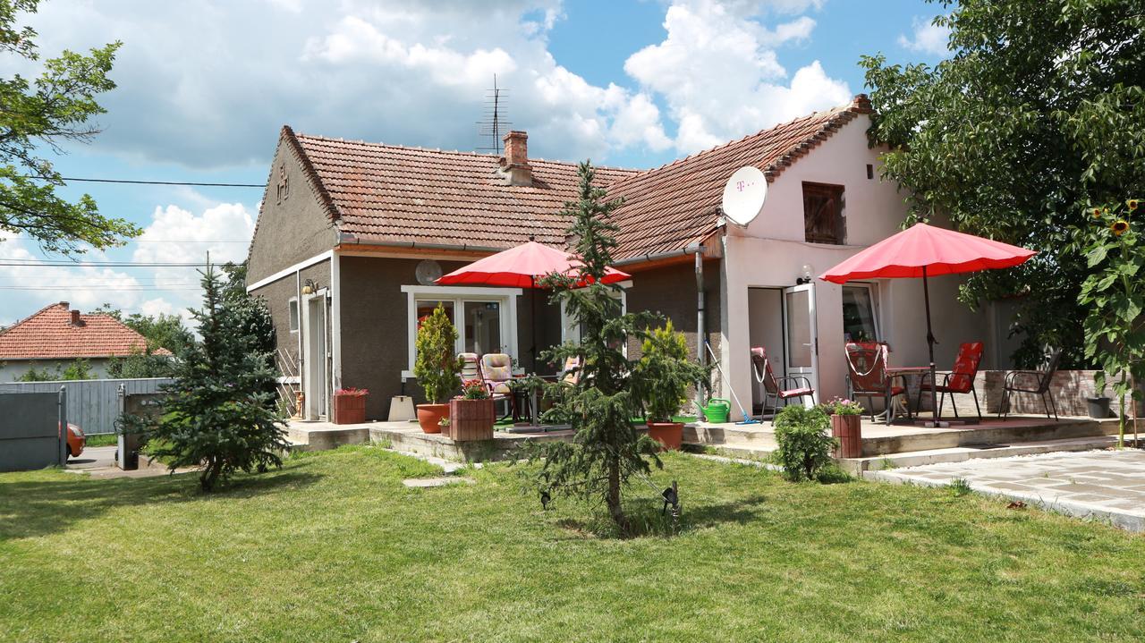 Home Tara Haţeg Dış mekan fotoğraf