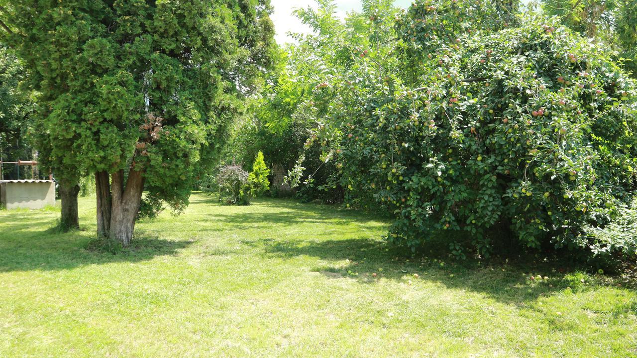 Home Tara Haţeg Dış mekan fotoğraf
